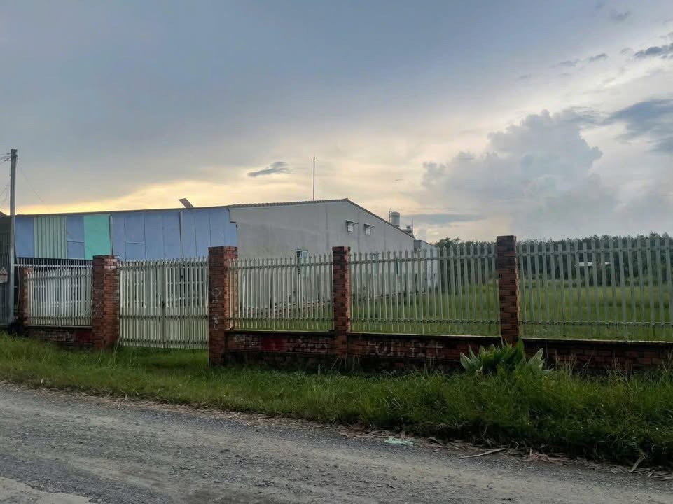 Đất nền Trường Lộc Hòa Thành Tây Ninh 1176m² giá 110 triệu - Cơ hội đầu tư tuyệt vời!