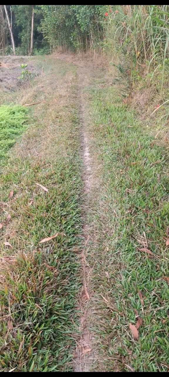 Đất nền Lộc Hưng Trảng Bàng 700m² giá chỉ 280 triệu - Sổ riêng, giao thông thuận lợi!