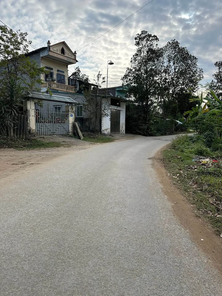 Đất nền Tổ 8, phường An Tường, 136m² giá 1 tỷ - Đầu tư sinh lời hấp dẫn!