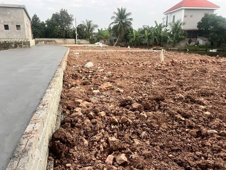 Đất nền Tứ Kỳ 296m² giá 1 tỷ - Cơ hội đầu tư sinh lời hấp dẫn!