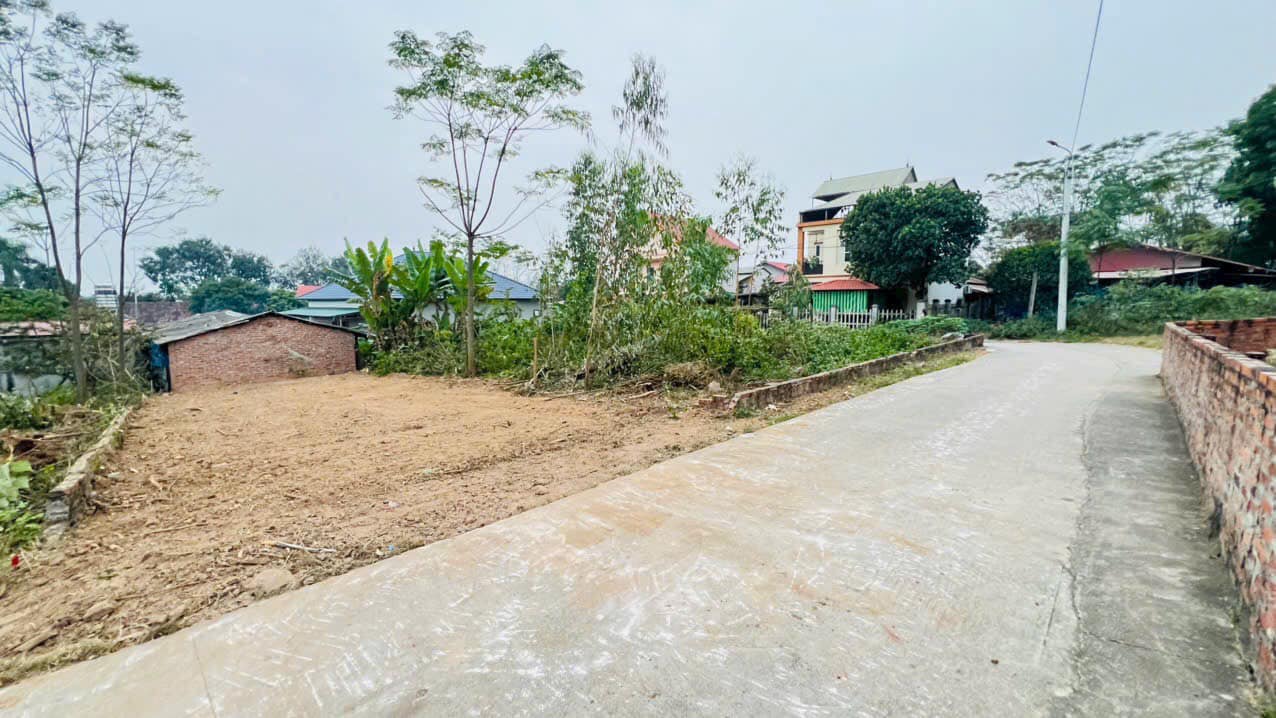 Lô đất đẹp Thanh Vân, Tam Dương 115m² giá chỉ 1 tỷ - Đầu tư sinh lời lý tưởng!