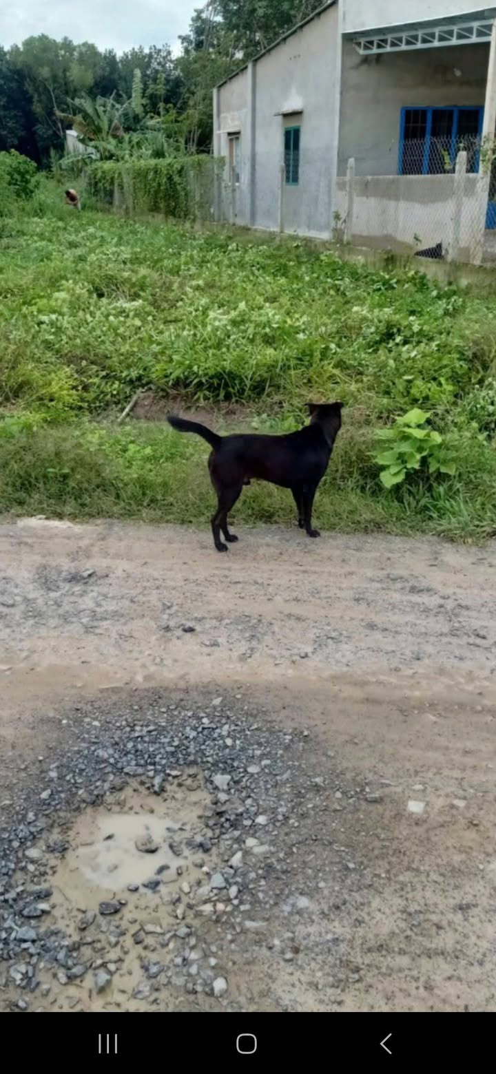 Đất nền Dương Minh Châu Tây Ninh 280m² giá chỉ 750 triệu - Cơ hội đầu tư tuyệt vời!