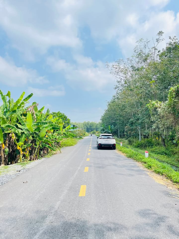 Nhà cấp 4 tại Củ Chi 143m² giá 1.65 tỷ - Gần trung tâm tiện ích