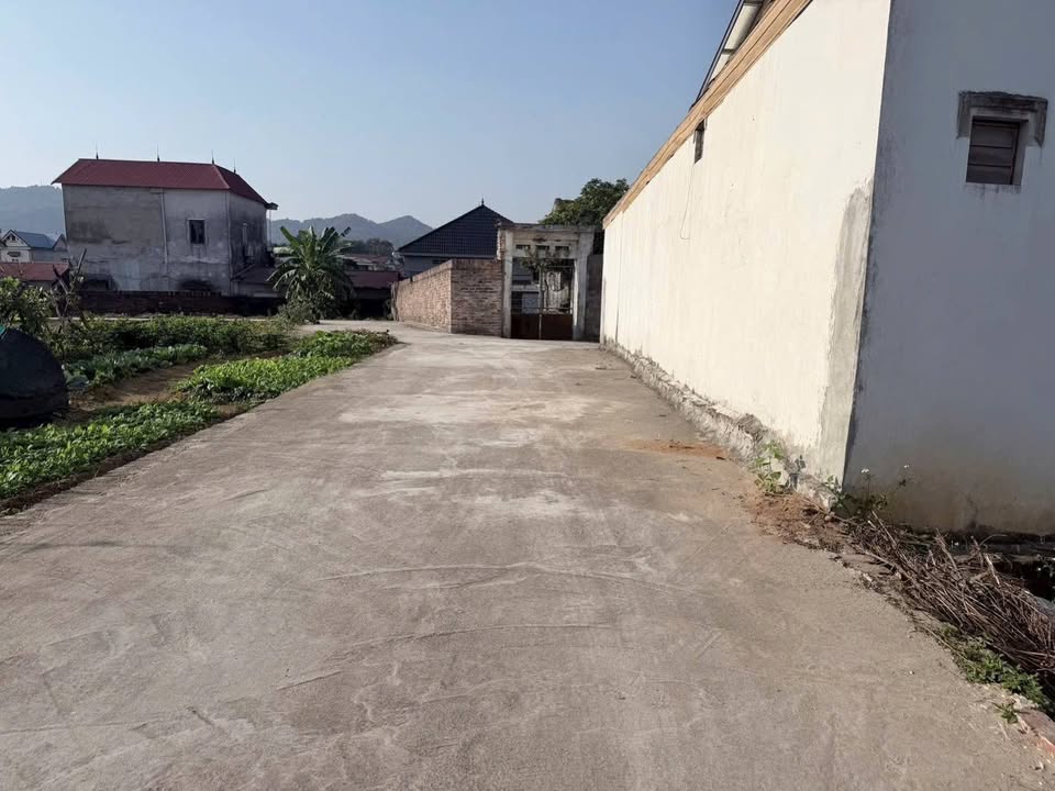 Đất nền lô góc 51m² tại Thanh Lại, Sóc Sơn - An ninh tốt, giá 600 triệu!