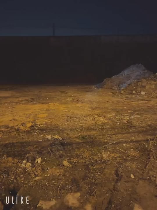 Đất đấu giá mặt đường QL1A Lạng Giang 84m² giá chỉ 1.3 tỷ - Cơ hội kinh doanh vàng!