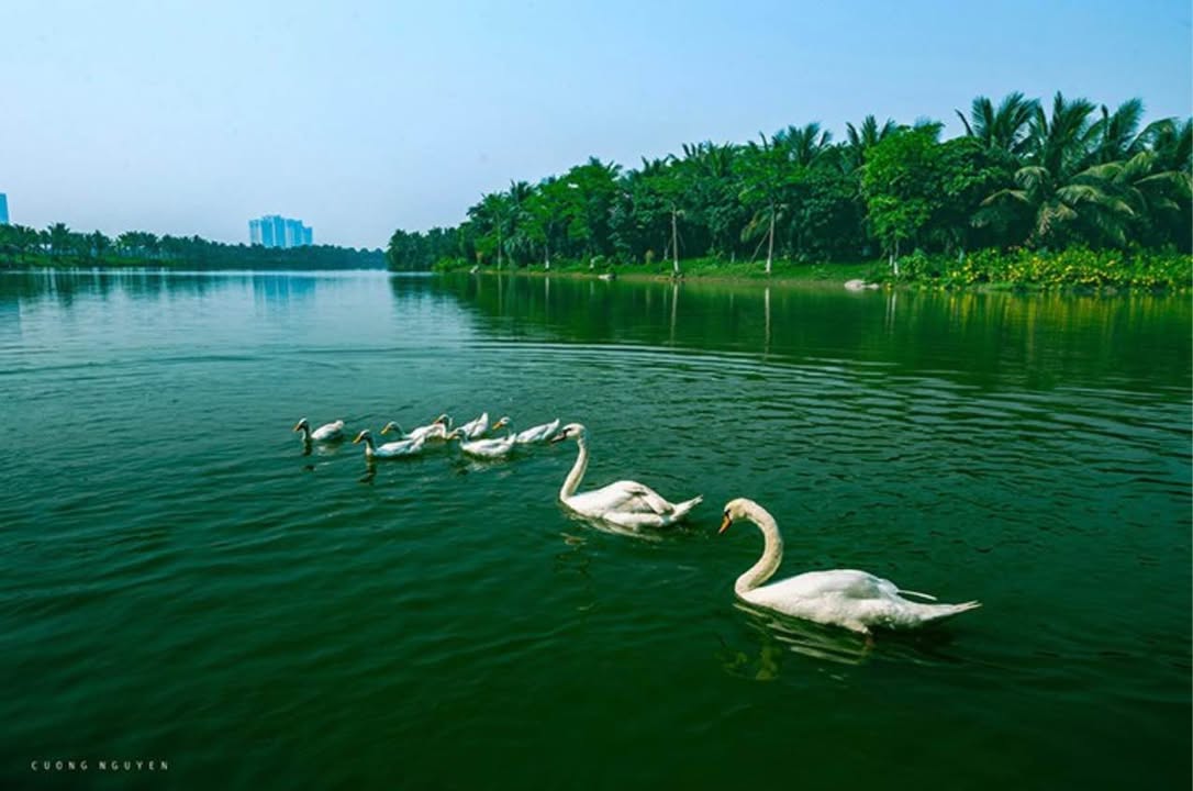 Nhà liền kề 4 tầng đường Âu Cơ, Ecopark Vinh 107m² giá 9.3 tỷ - Vị trí đẹp, tiềm năng cao!