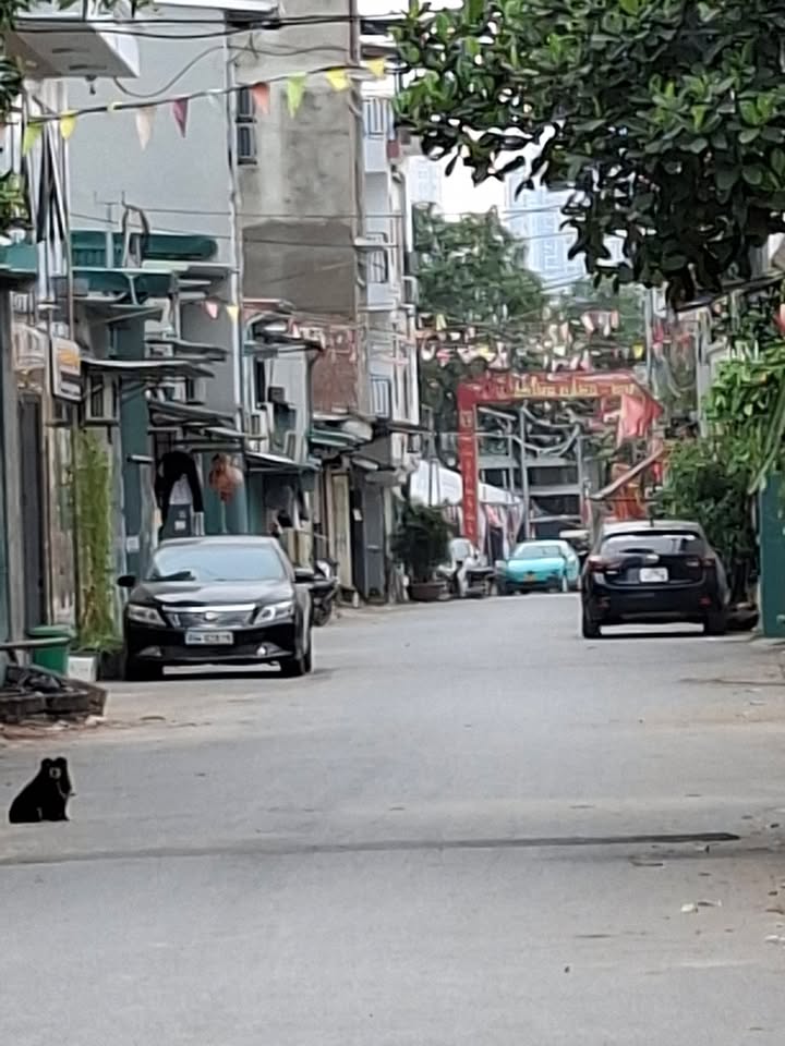 Đất ở An Khánh Hoài Đức 49m² giá 40 tỷ - Pháp lý chuẩn, gần tiện ích