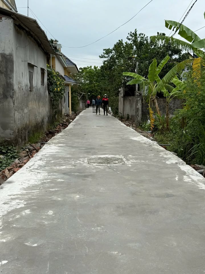 Đất nền Nam Triều Phú Xuyên 83m² giá 2.2 tỷ - Chính chủ bán ngay!