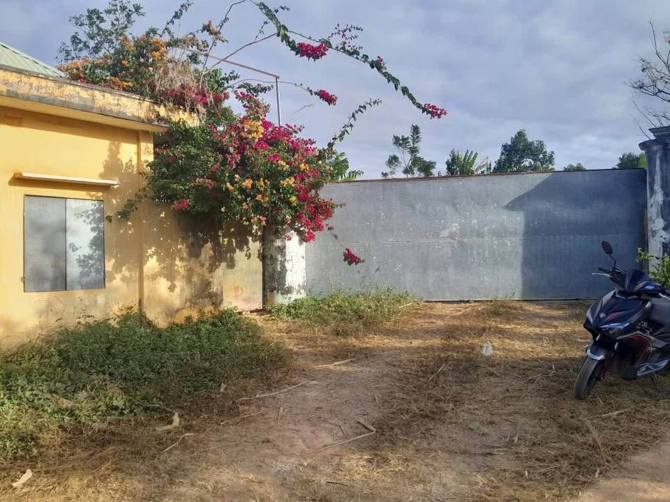 Đất nông nghiệp thôn 5 Đoàn Kết, 41x42m - Cơ hội đầu tư lý tưởng!