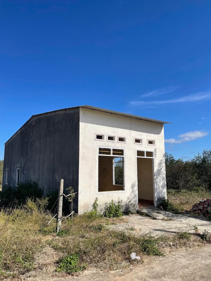 Đất thổ cư xã Ngọc Bay 390m² giá 400 triệu - Đối diện chợ phiên, cơ hội đầu tư hấp dẫn!