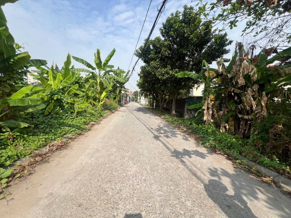 Đất vườn 1.280m² An Phú Đông, Q12 chỉ 18.5 tỷ - Đầu tư sinh lời ngay!