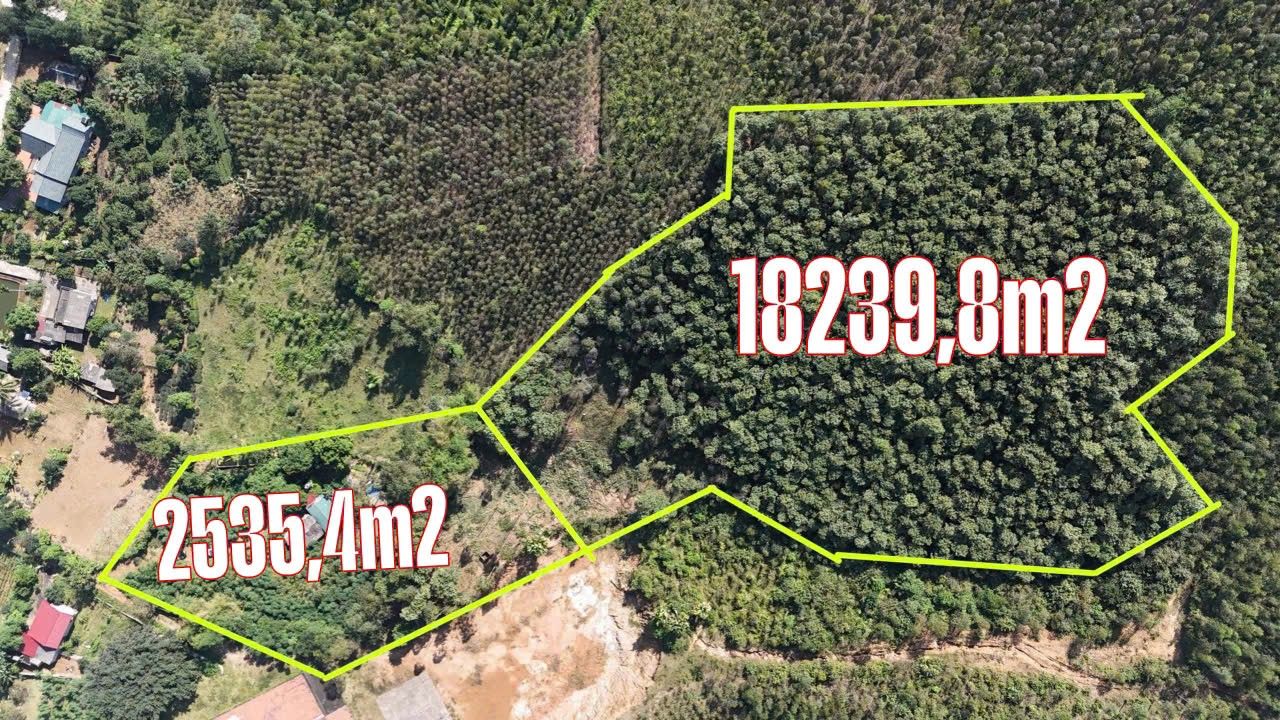 Đất Farm Giáp Lai, Thanh Sơn 22.634m² - Cơ hội đầu tư vàng!