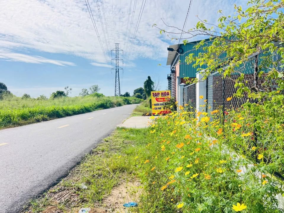 Đất nền 1008m² tại xã Đất Đỏ - Giá 2 tỷ - Khu nhà vườn nghỉ dưỡng lý tưởng!