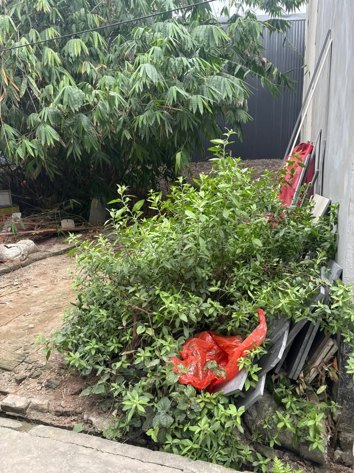 Đất nền An Thượng, Hoài Đức 56m² giá 5 tỷ - Sổ đỏ chính chủ, giao dịch ngay!