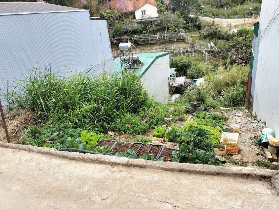 Đất nền Phường 9 Đà Lạt 99m² giá 1.65 tỷ - Sổ NN chính chủ, vị trí đắc địa!