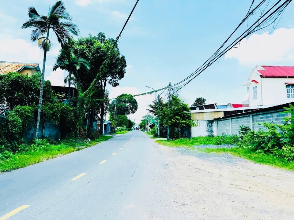 Đất thổ cư 153m² tại Trần Văn Chẩm, Củ Chi - Kinh doanh sầm uất!