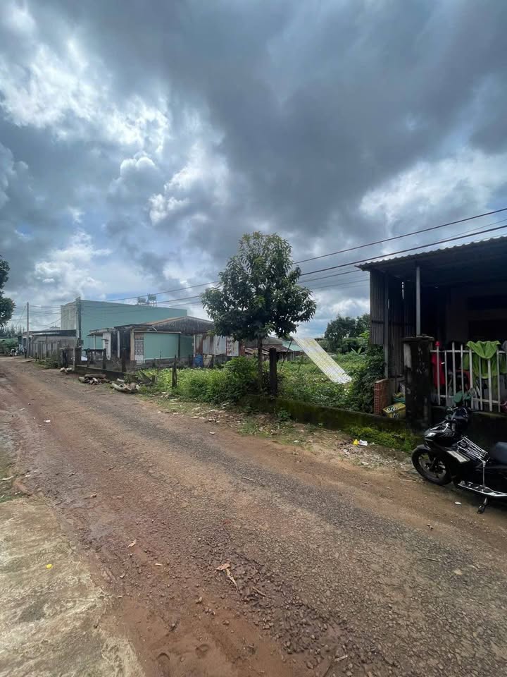 Đất nền Hẻm 101 Lý Nam Đế, Pleiku 147.5m² giá 1.3 tỷ - Hướng Bắc, cơ hội đầu tư hấp dẫn!