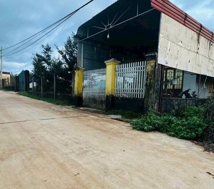 Đất nền hẻm 43 Nguyễn Tuân, Pleiku 180m² giá 990 triệu - Đầu tư lý tưởng!