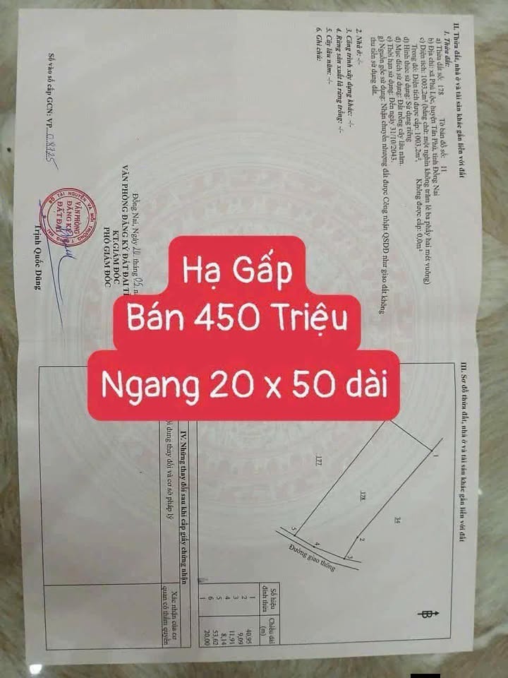 Đất nông nghiệp 1.000m² xã Phú Lộc, huyện Tân Phú, giá chỉ 450 triệu - Cần tiền bán gấp!