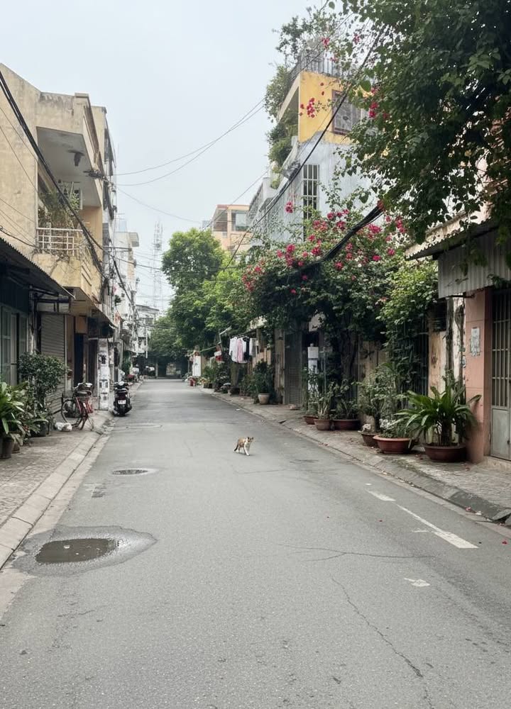 Nhà phố Tân Bình 38m² giá 3 tỷ - An ninh, sạch đẹp, vào ở ngay!