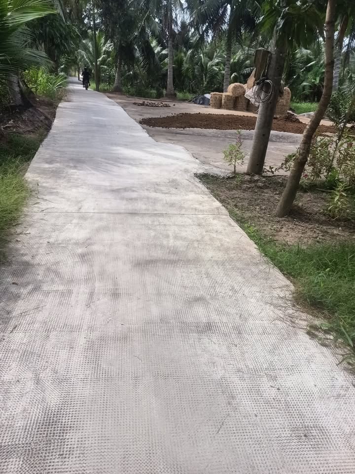 Đất mặt tiền lộ Đan xe 7 chỗ tại Mỹ Chánh, Ba Tri, Bến Tre 2172m² - Giá chỉ 810 triệu!