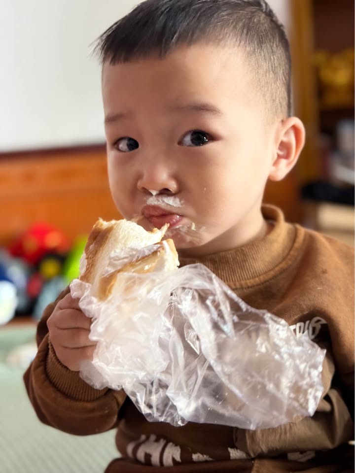 Đất mặt tiền 203m² tại Công Lý, Lý Nhân - Giá chỉ 1.6 tỷ, chính chủ bán!