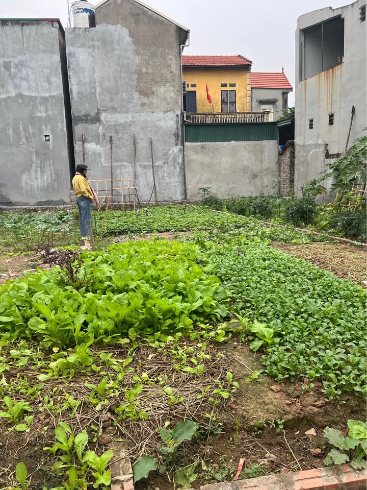 Đất nền Song Liễu, Thuận Thành 65m² giá 2.4 tỷ - Gần ô tô, đầu tư hiệu quả!