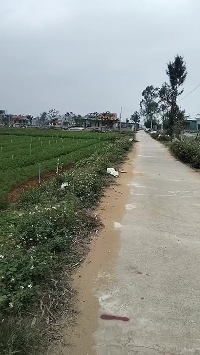 Đất nền thôn 1, xã Quỳnh Liên, Nghệ An 200m² giá 1.8 tỷ - Đường thông rộng rãi!