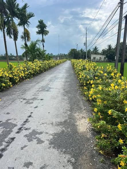 Đất nền xã Xuân Hiệp, Trà Ôn 150m² giá 335 triệu - Cơ hội đầu tư tuyệt vời!