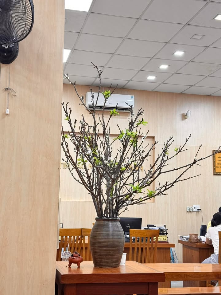 Căn hộ CHVD 128m² giá 12.5 tỷ - Dòng tiền ổn định 60 triệu/tháng!