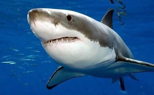 Đất thổ cư Lộc Thành, Bảo Lâm 160m² giá 1.5 tỷ - Cơ hội đầu tư hấp dẫn!