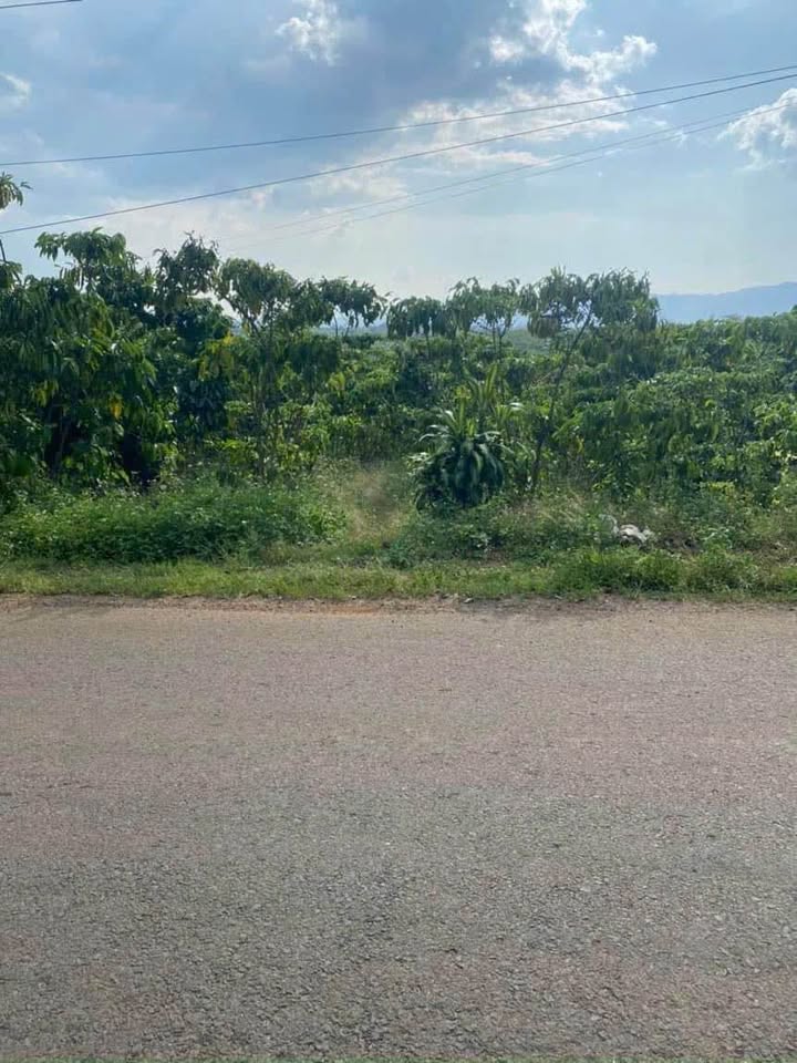 Đất mặt tiền đường Âu Cơ, Tân Lạc, Bảo Lâm 800m² giá 1.55 tỷ - Chính chủ bán gấp!