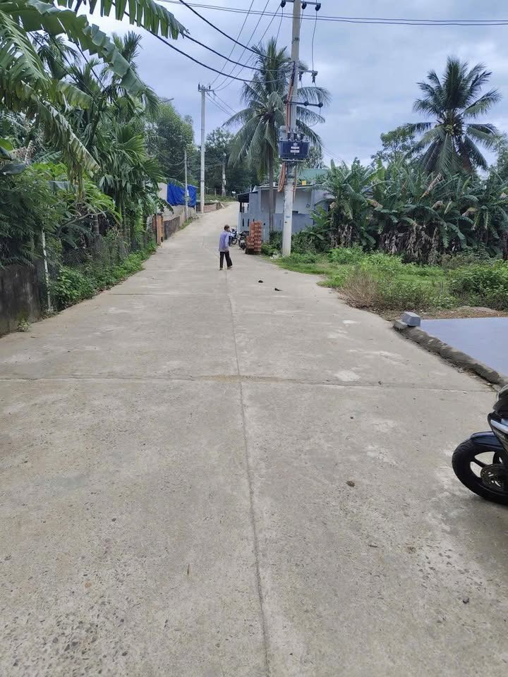 Đất Hòa Sơn Đà Nẵng 100m² giá 1.3 tỷ - Cơ hội đầu tư hấp dẫn!