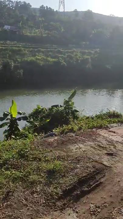 Đất Farm Tân Lạc Hòa Bình 28.000m² giá chỉ 4 tỷ - Siêu phẩm nghỉ dưỡng hiếm có!