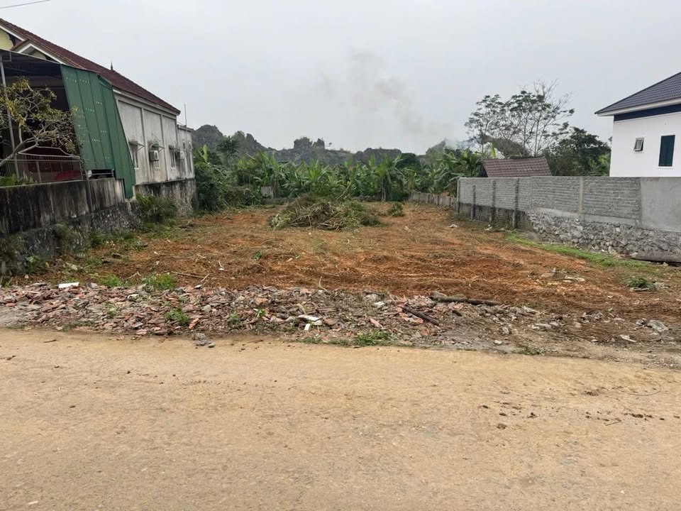 Đất Tràng Sơn Đô Lương 350m² giá 1.3 tỷ - Cơ hội đầu tư hấp dẫn!