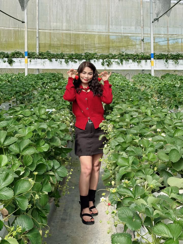 Đất mặt tiền Trần Khánh Dư, Đà Nẵng 101m² giá 17 tỷ - Cơ hội vàng đầu tư!