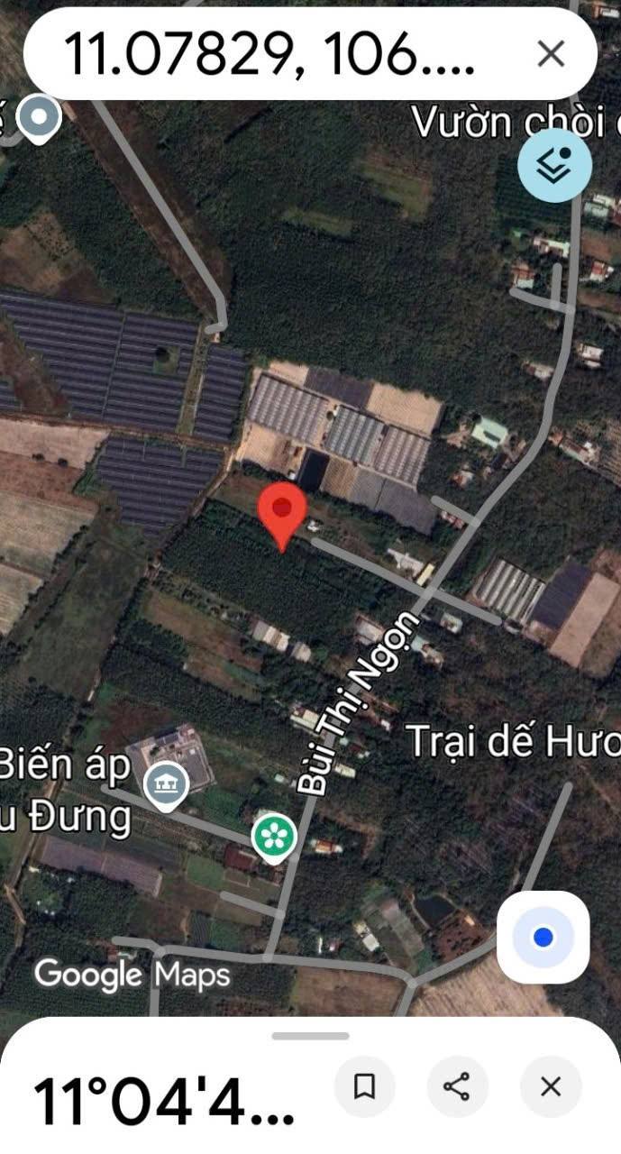 Đất nền 5000m² xã An Nhơn Tây, Củ Chi chỉ 7 tỷ - Cơ hội đầu tư hấp dẫn!