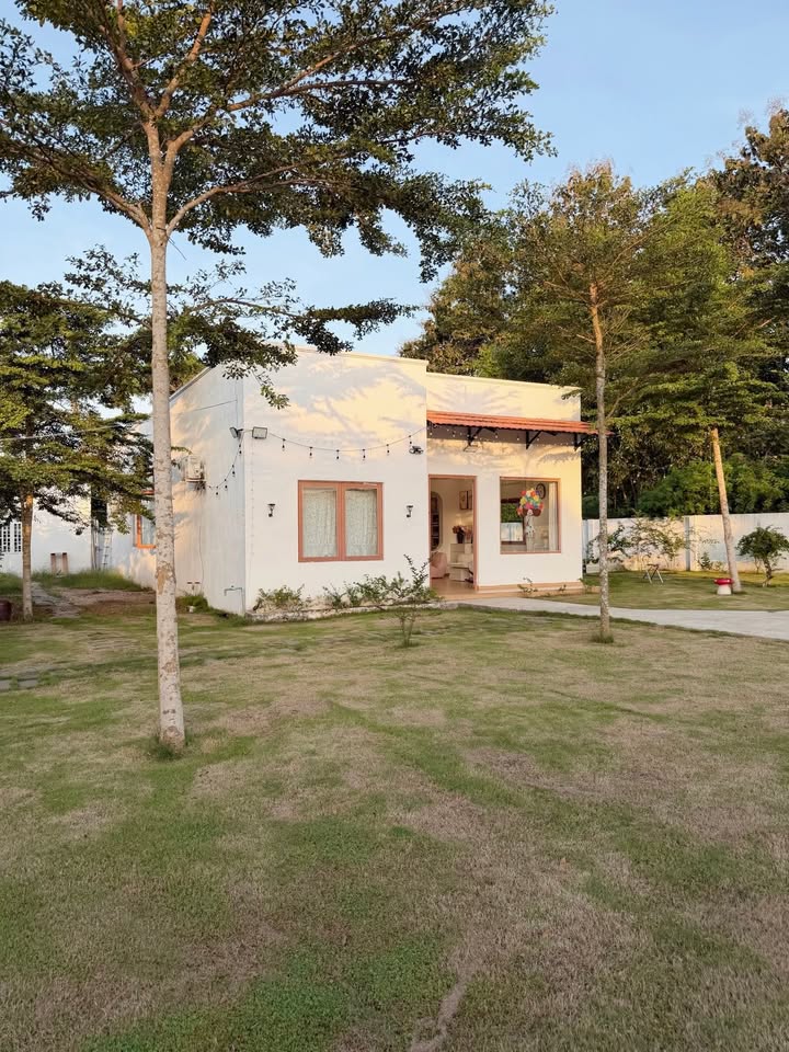 Đất mặt tiền Tỉnh lộ 2, Lộc Hưng, 600m² giá chỉ 2.34 tỷ - Cơ hội đầu tư hấp dẫn!