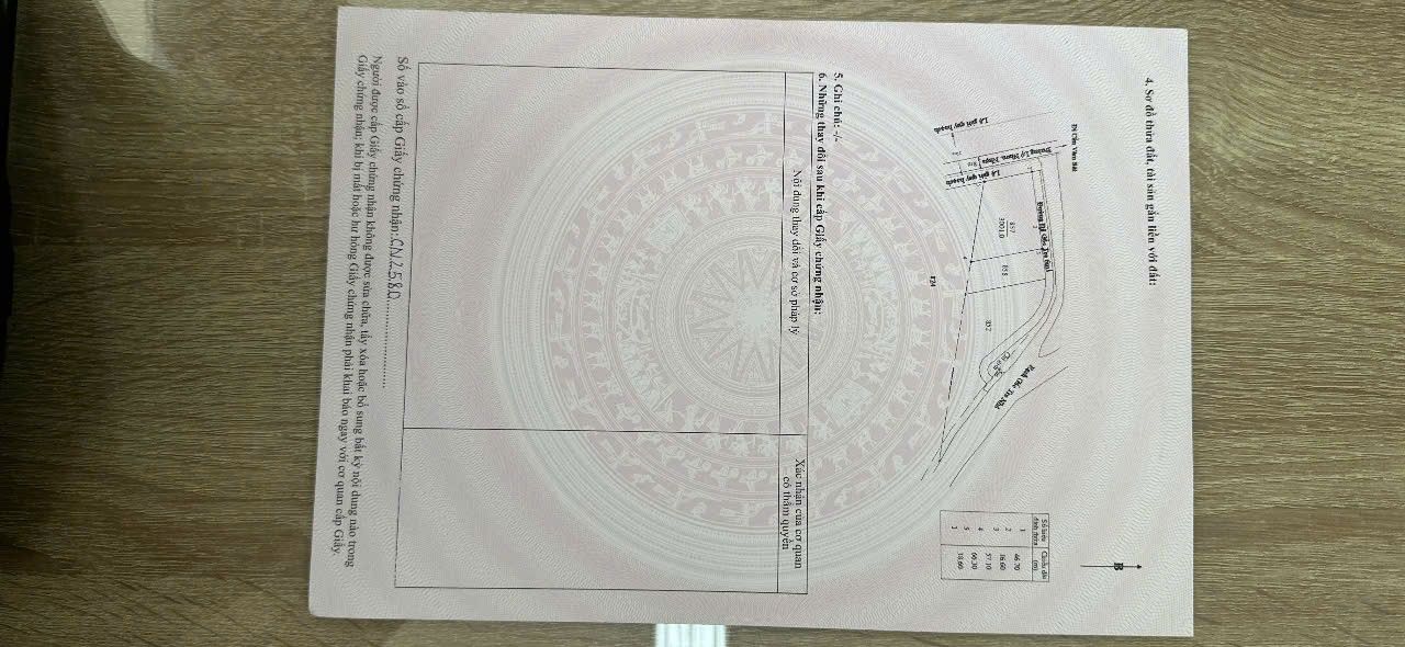 Đất 2 mặt tiền đường Lý Nhơn, Cần Giờ, 3000m² - Cơ hội đầu tư hấp dẫn!