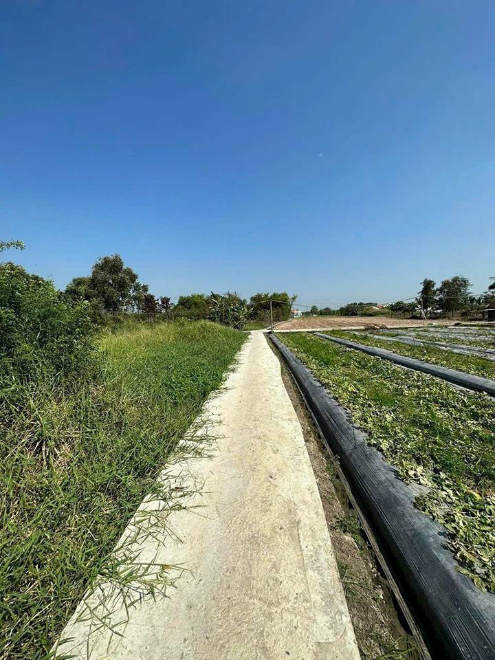 Đất thổ cư 100m² Cần Giuộc Long An giá 730 triệu - Sổ hồng riêng, đầu tư sinh lời!