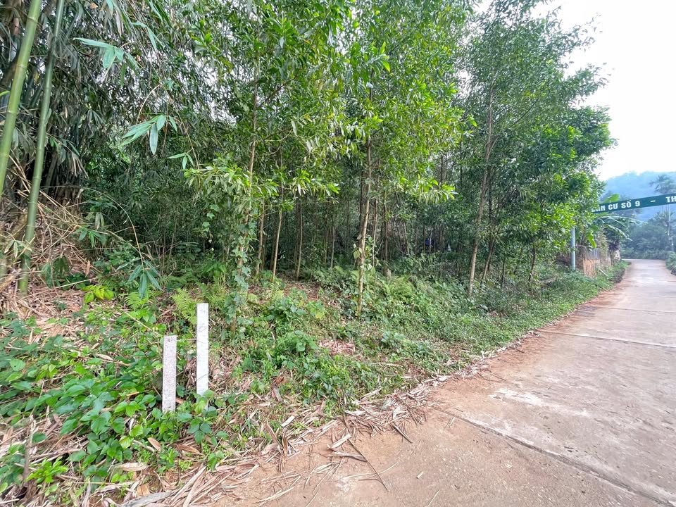 Đất nghỉ dưỡng Khánh Thượng Ba Vì 1751m² giá chỉ 2 tỷ - Địa thế tuyệt đẹp!