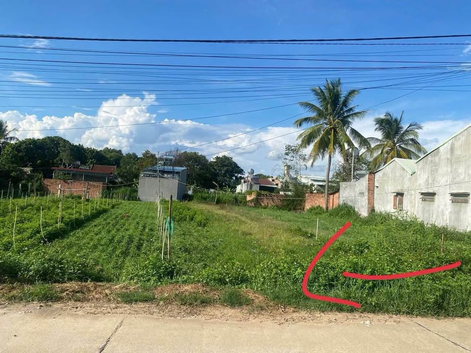 Đất thổ cư 50m² tại phường Nguyễn Trãi, Kon Tum - Giá thỏa thuận, hỗ trợ ngân hàng 80%!