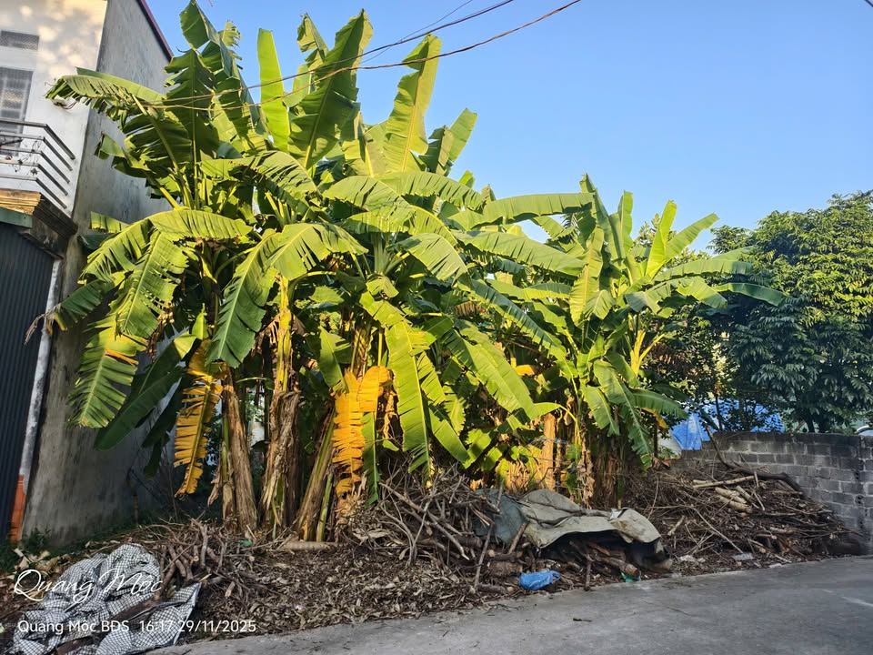 Đất nền Phường Minh Nông, 200m² giá 1.9 tỷ - Đường ô tô tránh xe máy!