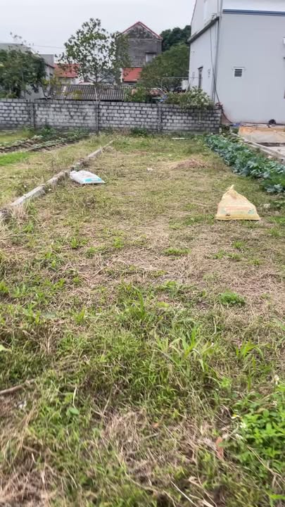 Đất nền Trần Cao - Quang Hưng 100m² giá 1 tỷ - Cơ hội đầu tư lý tưởng!