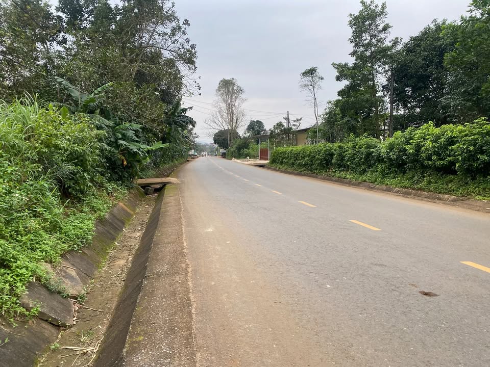 Đất nền mặt tiền đường Cáp Lài, Hồ Xá 420m² giá 1.6 tỷ - Đầu tư sinh lời tuyệt vời!