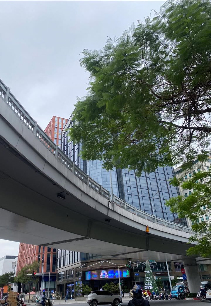 Nhà riêng Hoàng Văn Thái, Thanh Xuân 45m² giá 16 tỷ - Ô tô đỗ cửa ngay!