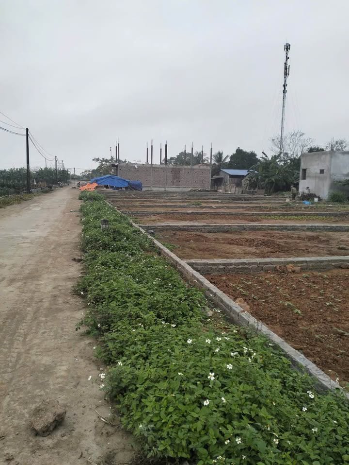 Đất đấu giá Thôn Thượng, Hồng Sơn, Mỹ Đức 108,8m² giá 2,176 tỷ - Đầu tư sinh lời ngay!