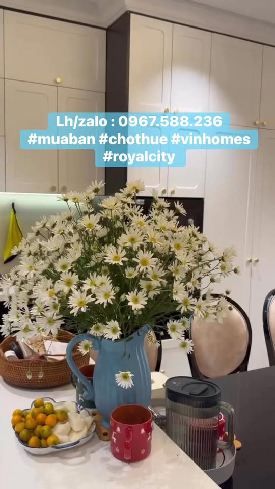 Căn hộ Royal City Thanh Xuân 2-3PN từ 16 triệu/tháng - Nhận nhà nhanh chóng!