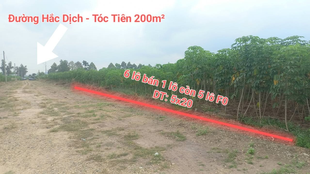 Đất nền Tóc Tiên 100m² giá 200 triệu - Sổ đỏ chính chủ, đầu tư sinh lời!