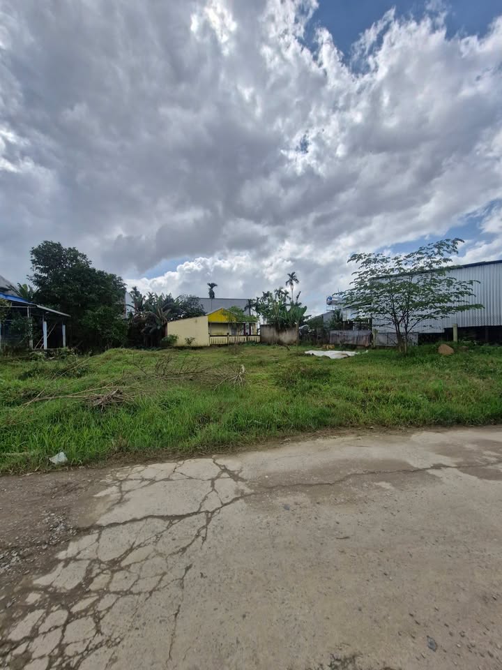 Đất vườn đẹp Hòa Tiến, Đà Nẵng 596m² giá 3.5 tỷ - Tiềm năng đầu tư lớn!